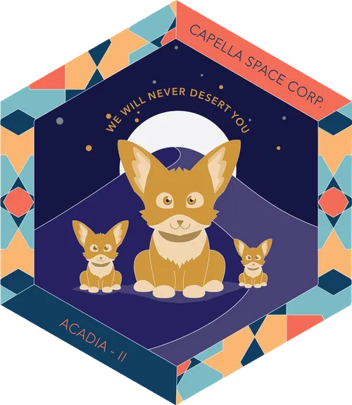 We Will Never Desert You mission patch