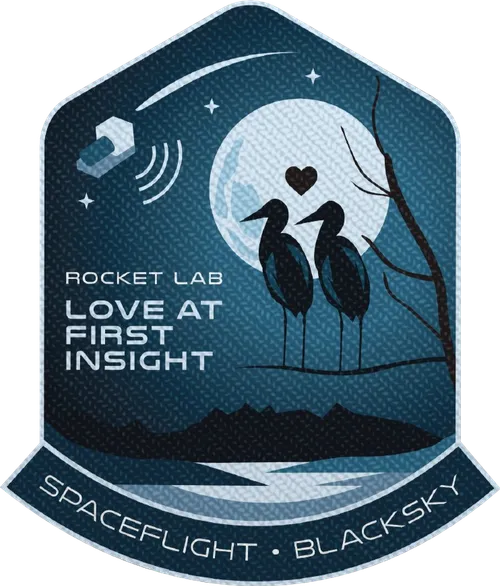 Love At First Insight mission patch